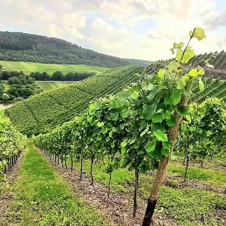 Apartmán Ambiente I - Stilvoll, Komfortabel, Einzigartig - Herzlich Willkommen