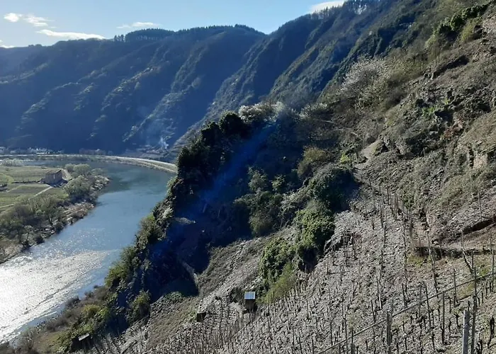 Ambiente I - Stilvoll, Komfortabel, Einzigartig - Herzlich Willkommen Appartement *