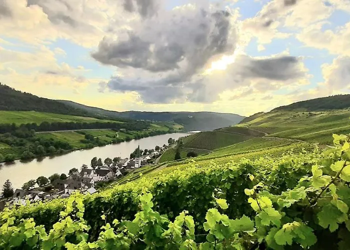 Das Ambiente I - Komfortables Wohnerlebnis Mit Moselromantik - Herzlich Willkommen - Zell an der Mosel