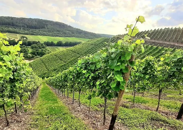 Appartement Ambiente I - Stilvoll, Komfortabel, Einzigartig - Herzlich Willkommen