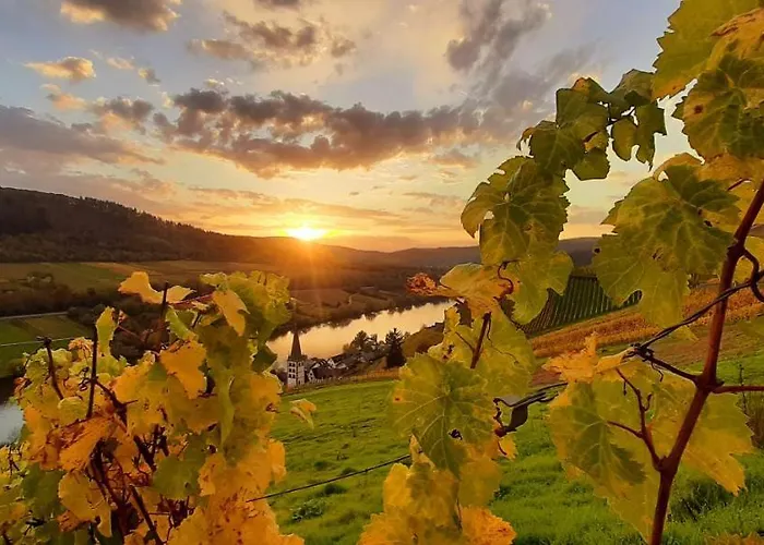 Das Ambiente I - Komfortables Wohnerlebnis Mit Moselromantik - Herzlich Willkommen - Appartamento